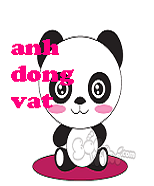 anh dong vat